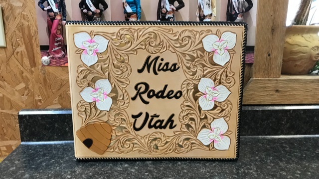 Rodeo Queen Scrap Book,Rodeo Queen Chaps,Royalty Chaps,