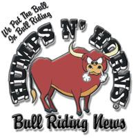 Best Bull News there is..